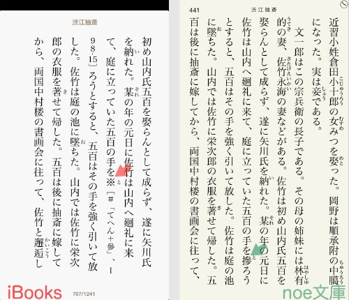 iBooks渋江抽斎.013.jpg
